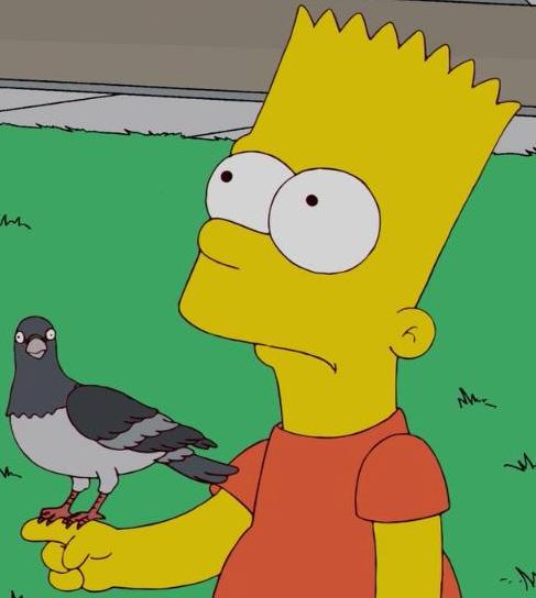 Bart et son pigeon.jpg